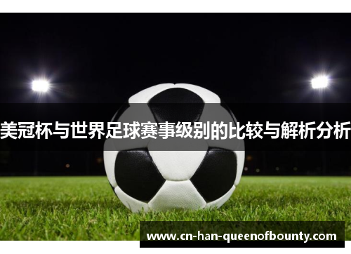 美冠杯与世界足球赛事级别的比较与解析分析